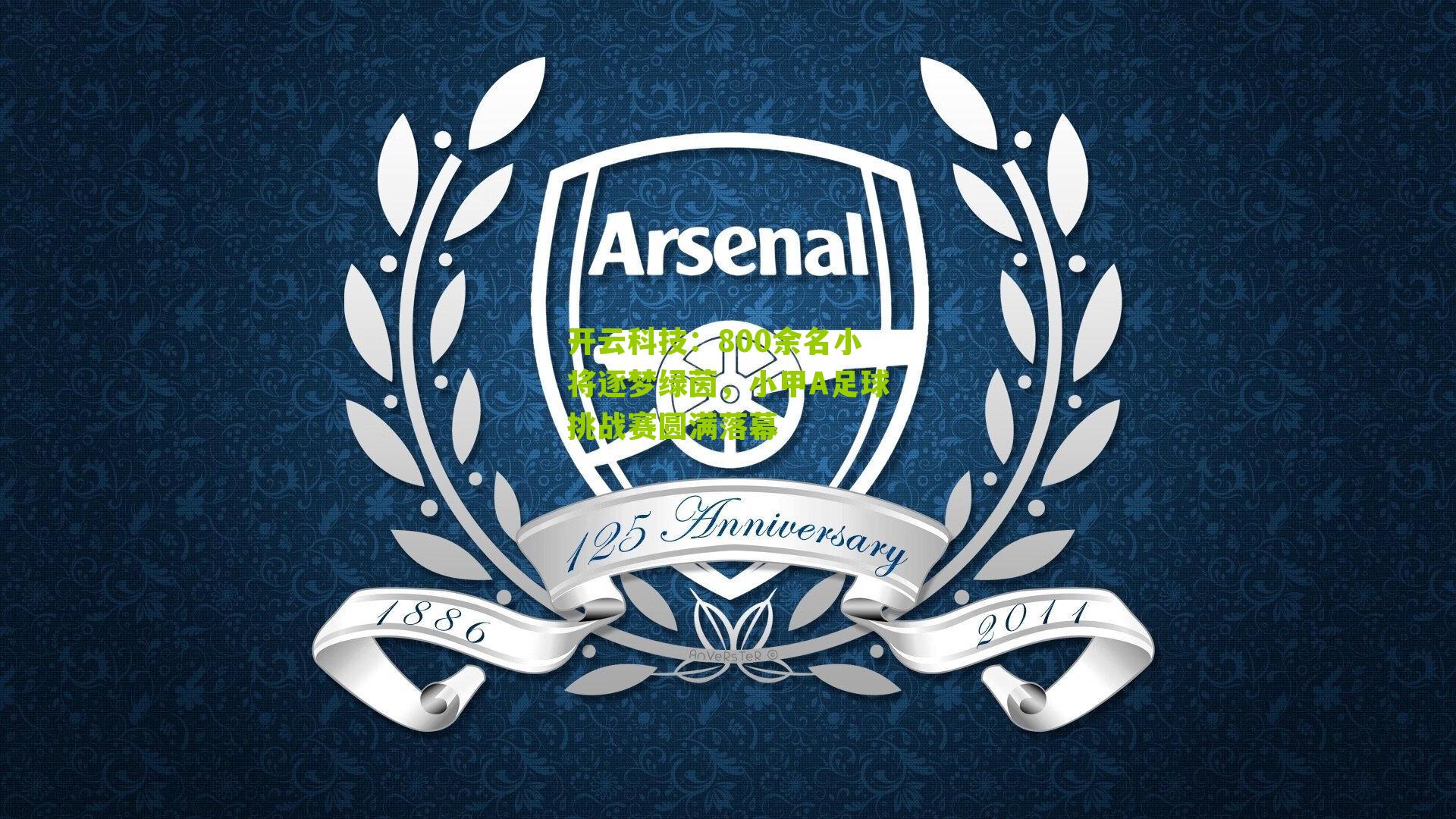 开云科技:800余名小将逐梦绿茵,小甲A足球挑战赛圆满落幕