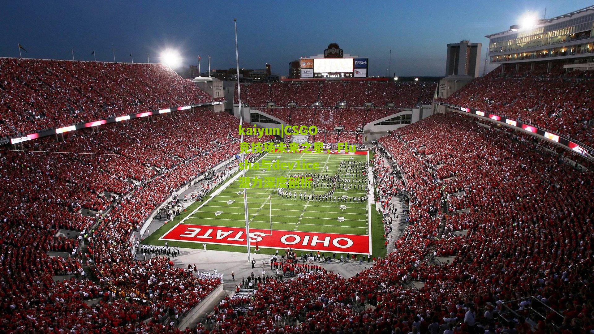 CSGO竞技场未来之星，Flusha与dev1ice潜力深度剖析