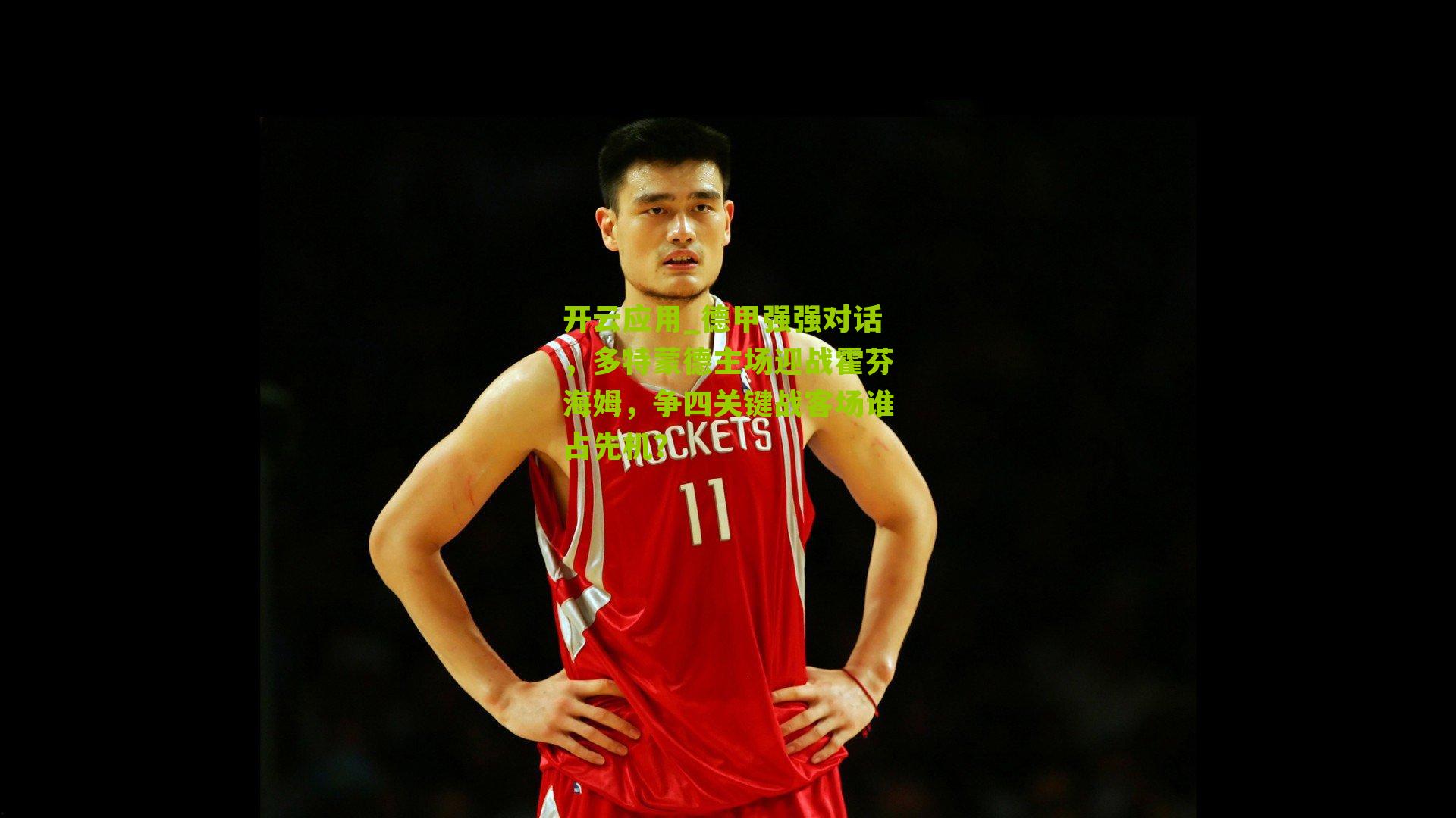 德甲强强对话，多特蒙德主场迎战霍芬海姆，争四关键战客场谁占先机？